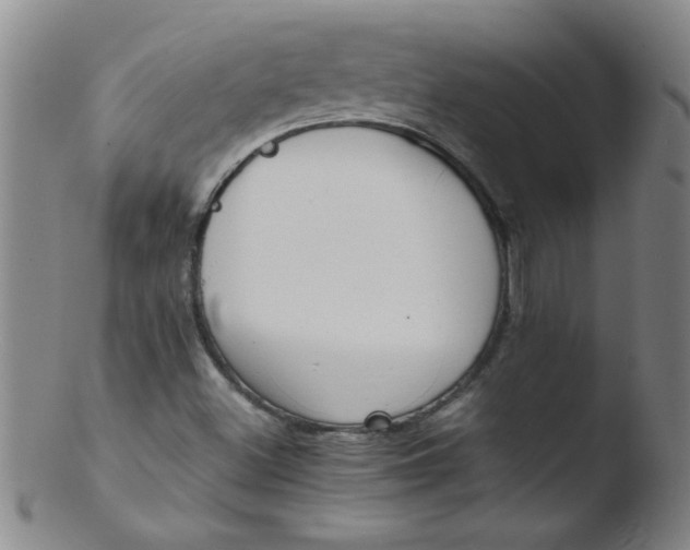 X0000103481500200809261915