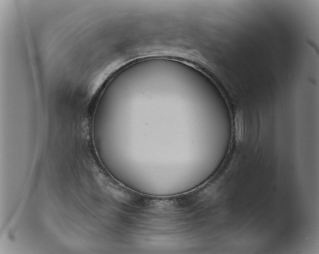 X0000103481501200809261915