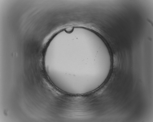 X0000103481502200809261915