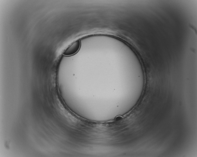 X0000103481504200809261915