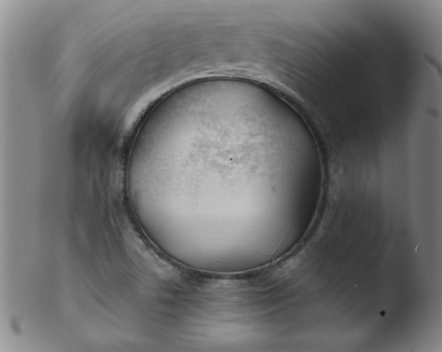 X0000103481506200809261915