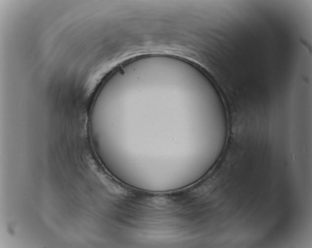 X0000103481507200809261915