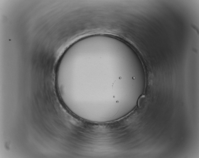 X0000103481508200809261915