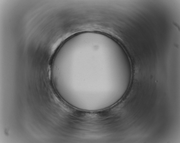 X0000103481509200809261915