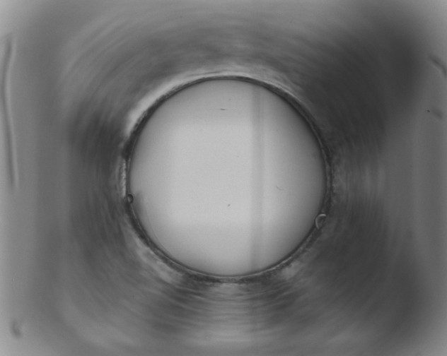 X0000103481510200809261915