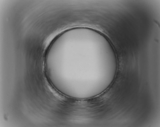 X0000103481511200809261916