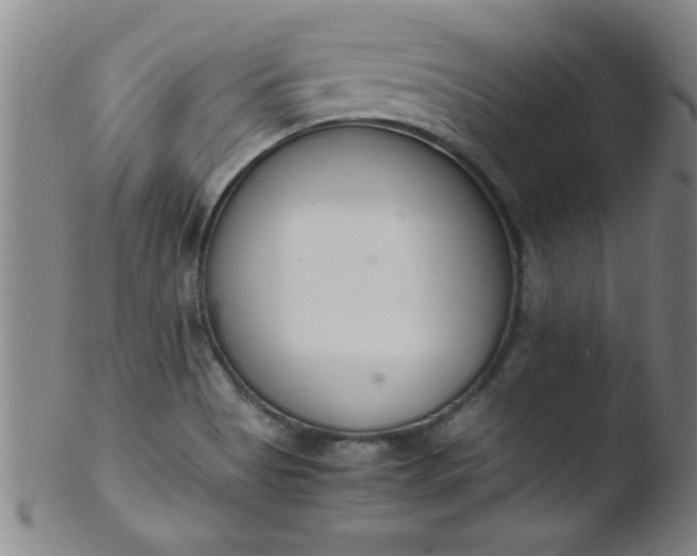 X0000103481513200809261916