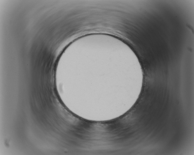 X0000103481514200809261916