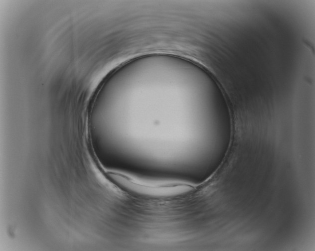 X0000103481515200809261916