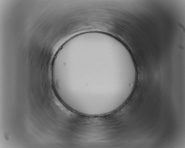 X0000103481516200809261916