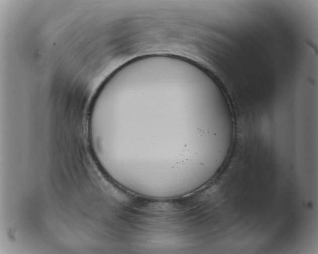 X0000103481517200809261916