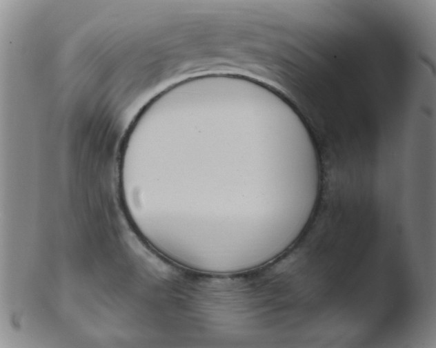X0000103481518200809261916