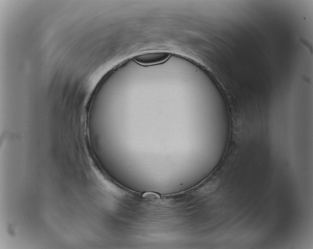 X0000103481519200809261916