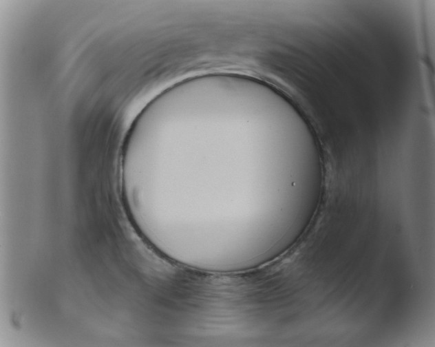 X0000103481520200809261916
