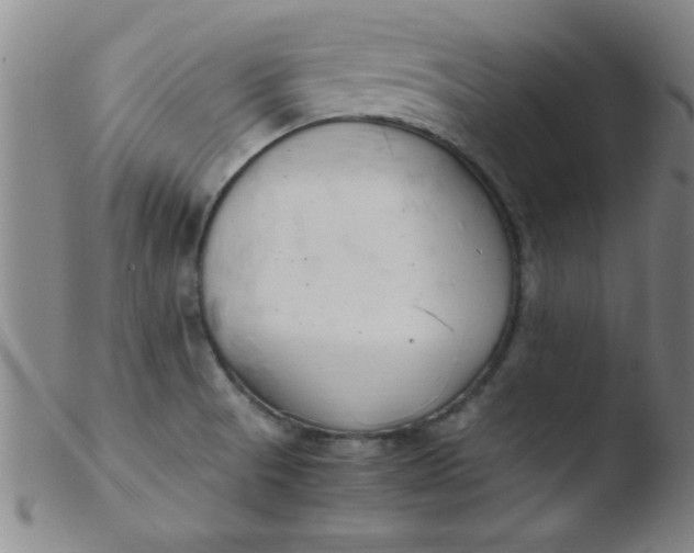 X0000103481521200809261916