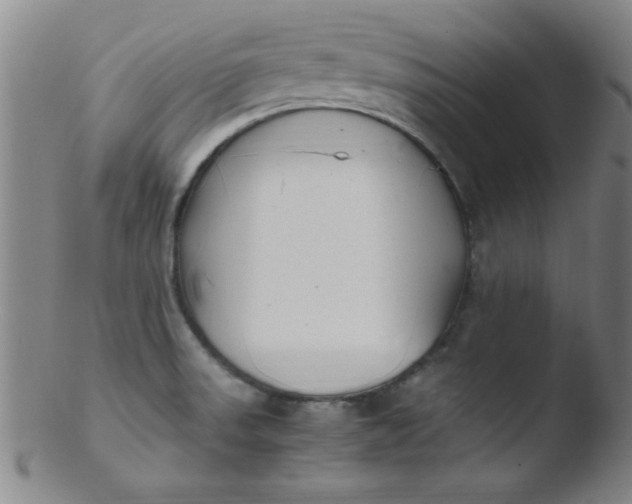 X0000103481523200809261916