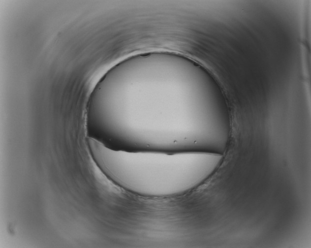 X0000103481524200809261916