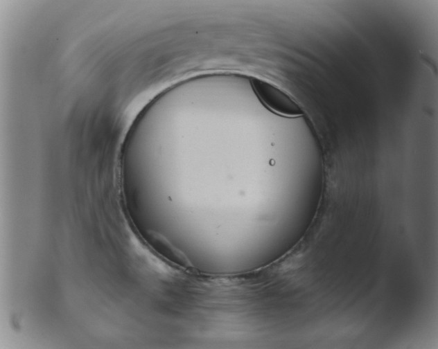 X0000103481527200809261916