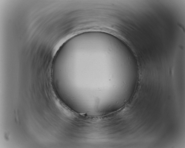 X0000103481530200809261916