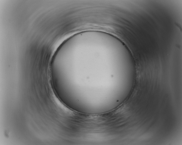 X0000103481531200809261916
