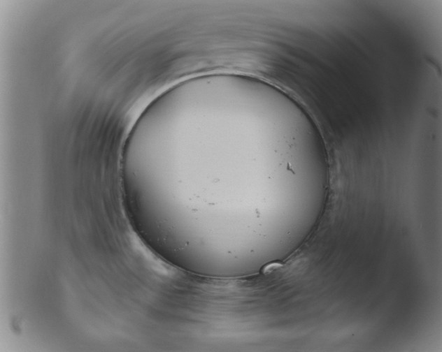 X0000103481532200809261916