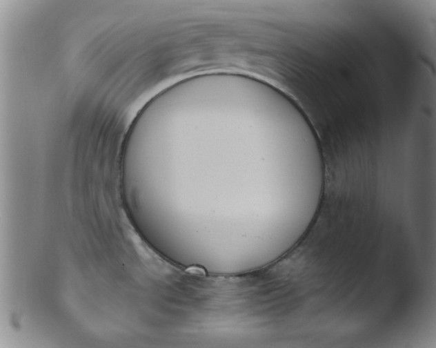 X0000103481534200809261916