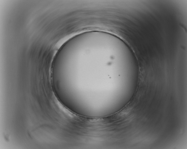 X0000103481535200809261916