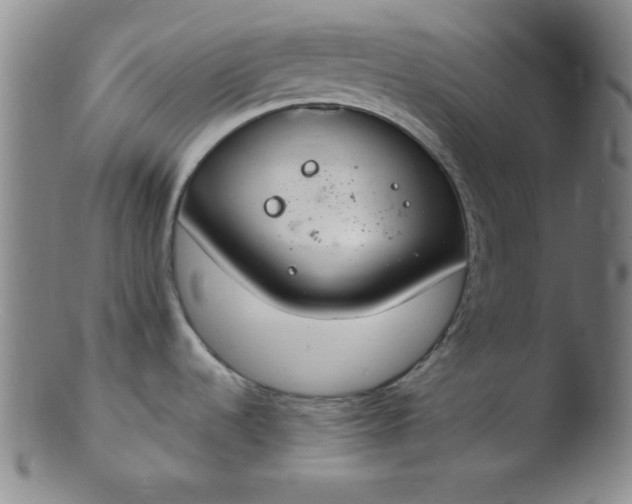 X0000103481536200809261916