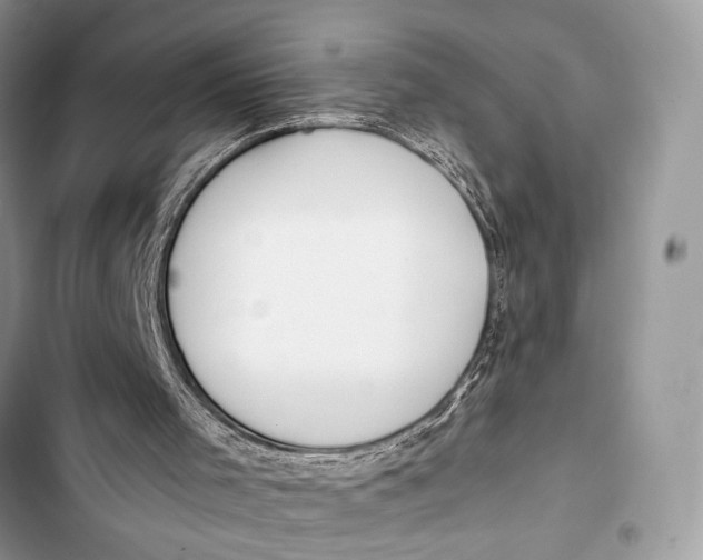 X0000103480001200810031553