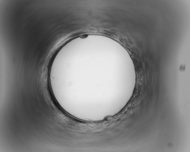 X0000103480005200810031553