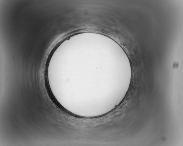 X0000103480007200810031553