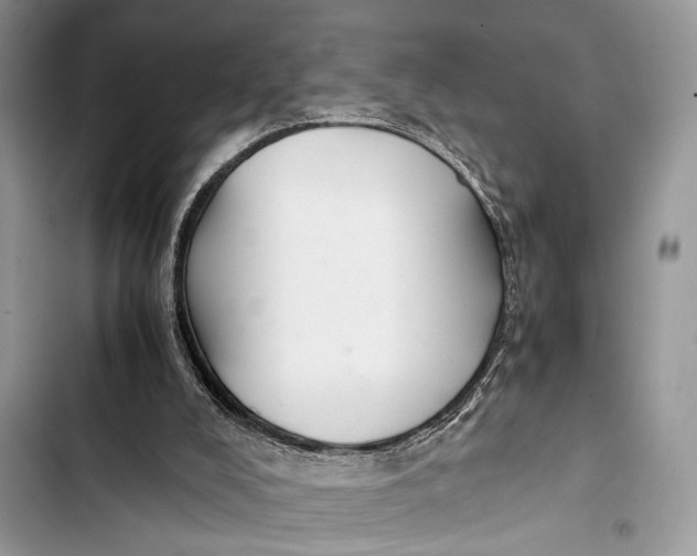 X0000103480008200810031553