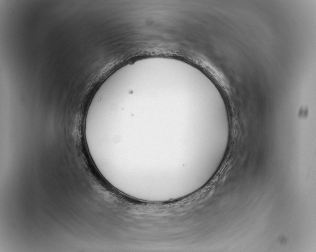 X0000103480009200810031553