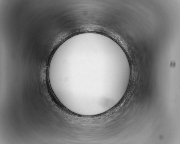 X0000103480010200810031553