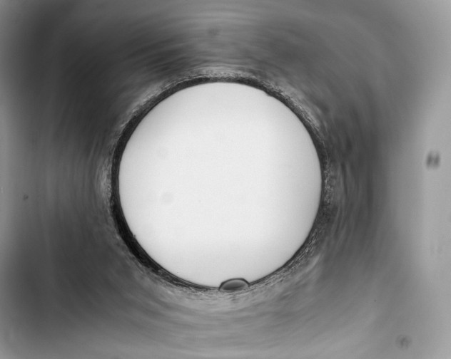X0000103480015200810031553