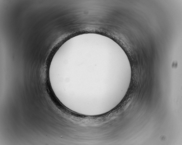 X0000103480016200810031553