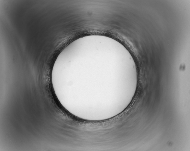 X0000103480017200810031553