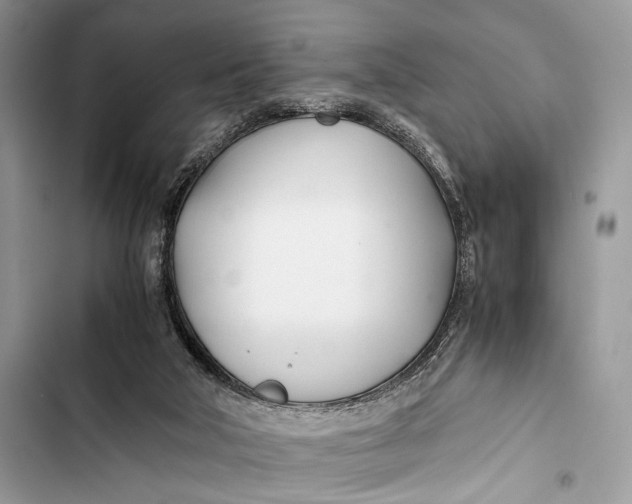 X0000103480018200810031553