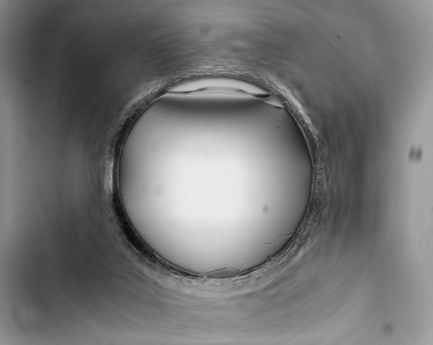 X0000103480019200810031553