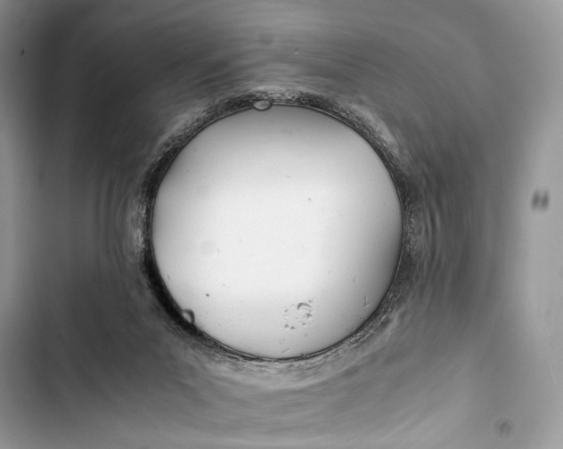 X0000103480023200810031553