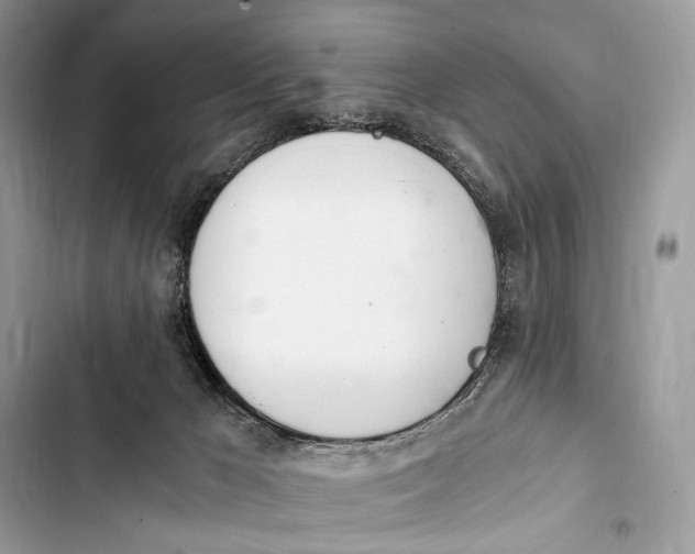 X0000103480029200810031553