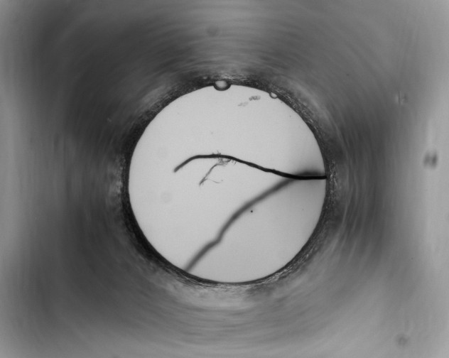 X0000103480032200810031553