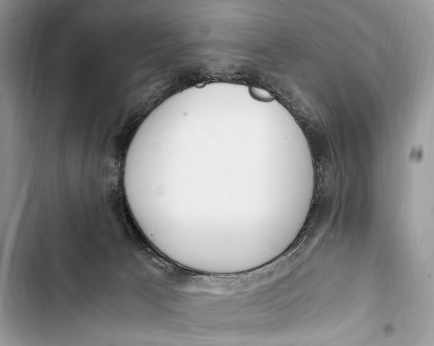 X0000103480033200810031553