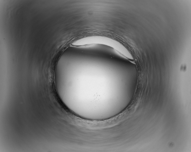 X0000103480039200810031552