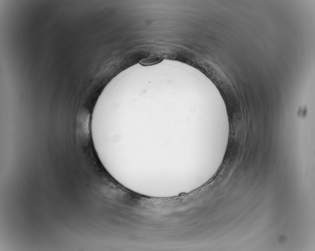 X0000103480041200810031552