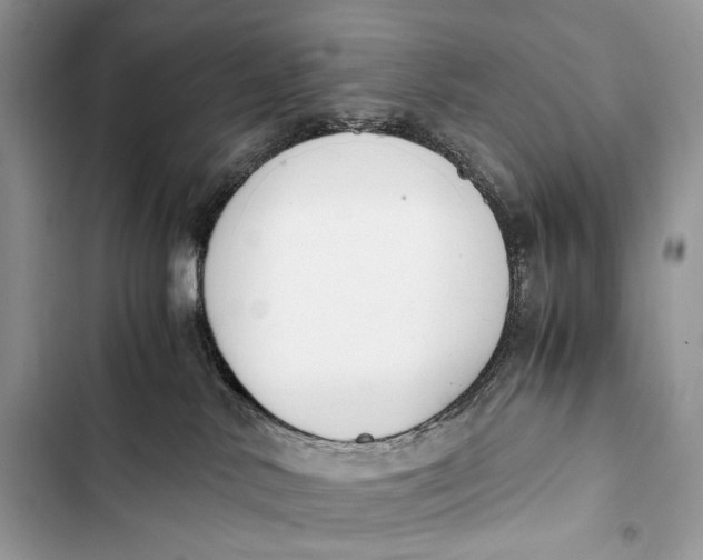 X0000103480042200810031552