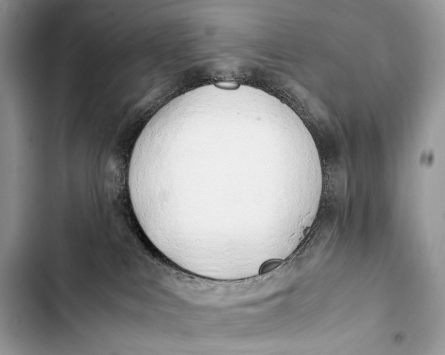 X0000103480043200810031552