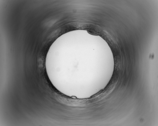 X0000103480044200810031552