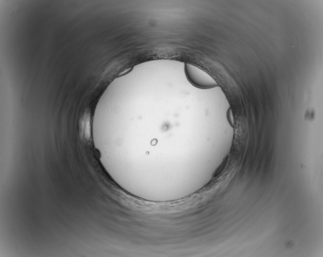 X0000103480046200810031552