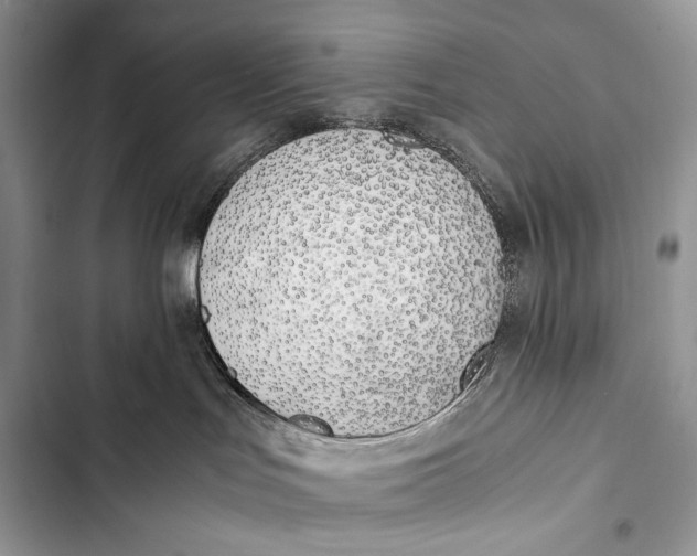 X0000103480047200810031552